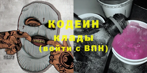 гашик Верея