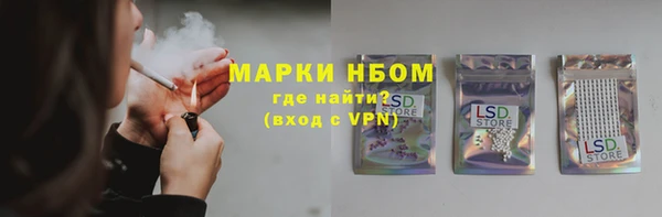 стаф Новозыбков