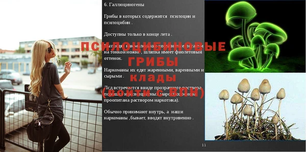 МДМА Богородицк
