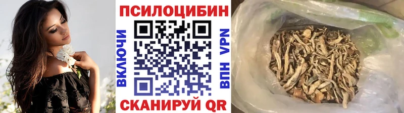 Галлюциногенные грибы MAGIC MUSHROOMS  Северск 